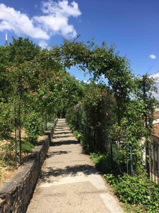 Studio Close Fourviere Very Quiet & Small Terrace Apartment Lyon Bagian luar foto